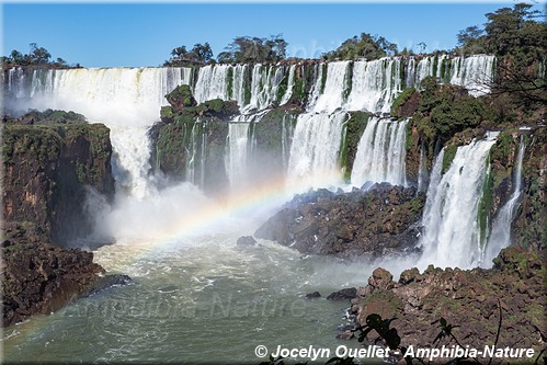 Chutes d'Iguazú [Cataratas del Iguazú] - République argentine